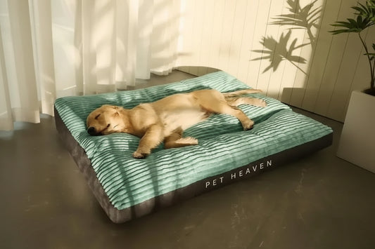 Dog sleeping on a green and gray 'Pet Heaven' bed indoors.