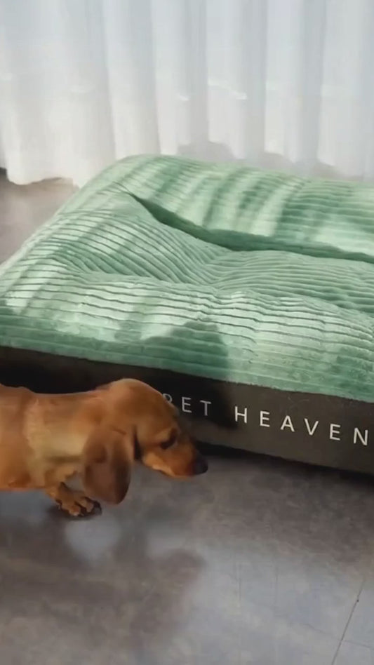 Premium Winter Pet Bed XL — Cozy, Removable & Washable